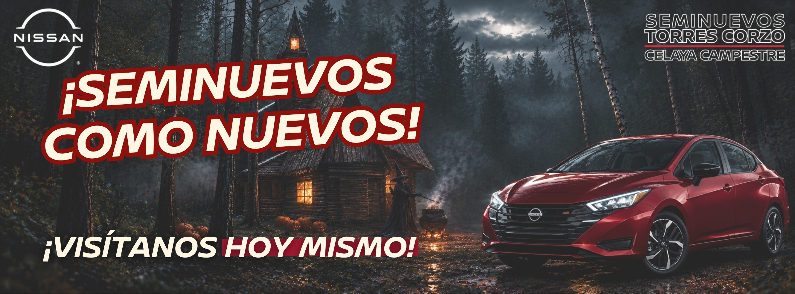 Seminuevos Torres Corzo Celaya Campestre | Celaya