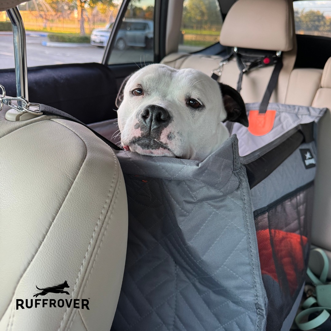 RuffRover - For smoother drives and calmer pups — that’s the RuffRover ...