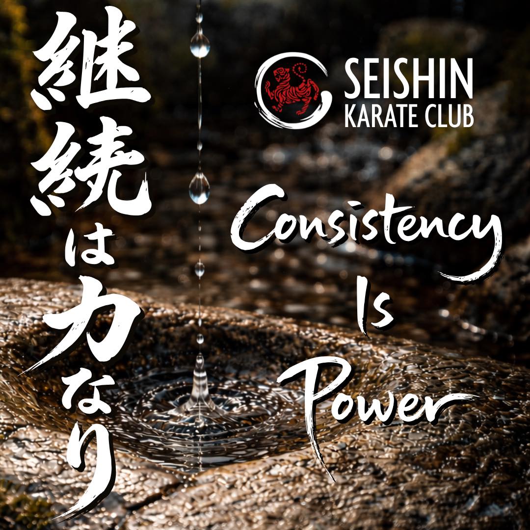 Seishin Karate Club Wellingborough | Wellingborough