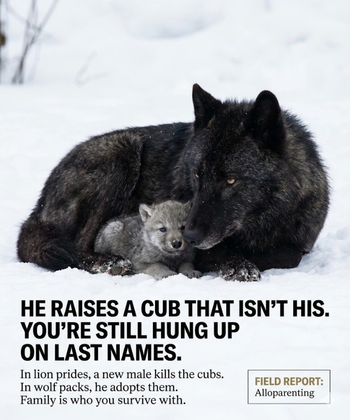 Voices - 🐺 The Gray Wolf: 