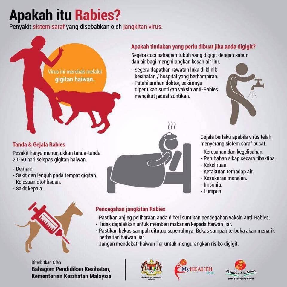 Unit - ⚠️ 𝐀𝐖𝐀𝐒! 𝐑𝐀𝐁𝐈𝐄𝐒 𝐁𝐎𝐋𝐄𝐇 𝐌𝐄𝐑𝐀𝐆𝐔𝐓 𝐍𝐘𝐀𝐖𝐀 🐶 Rabies ialah penyakit ...
