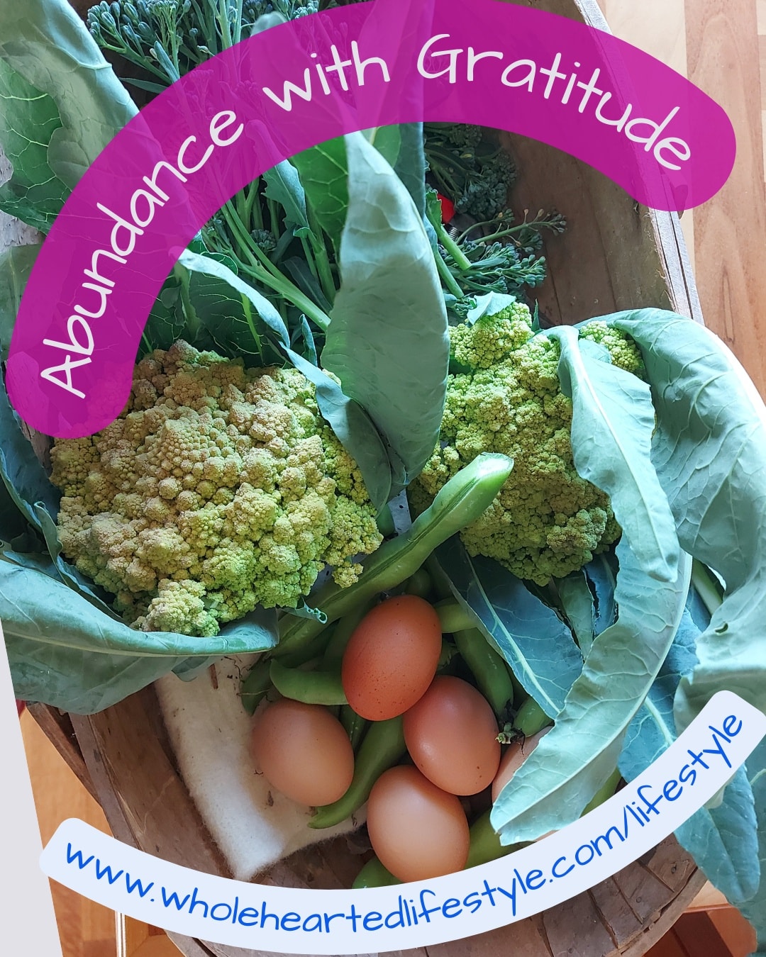 Nicky Ripley - Wholehearted Lifestyle - Possibility Discovered | Rangiora