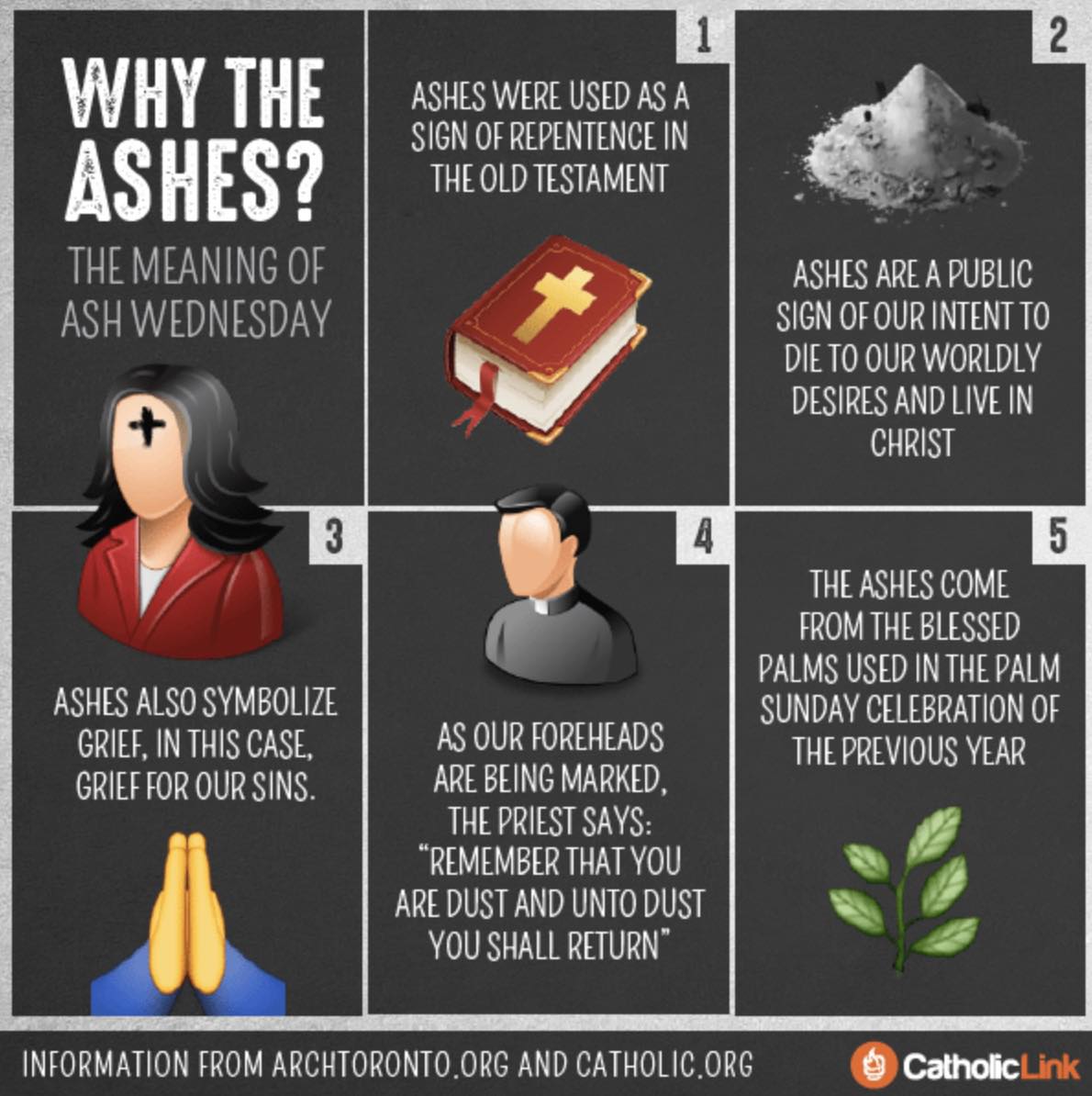 ️ WHAT TO EXPECT AT HOLY... - Holy Trinity Catholic Parish | Facebook