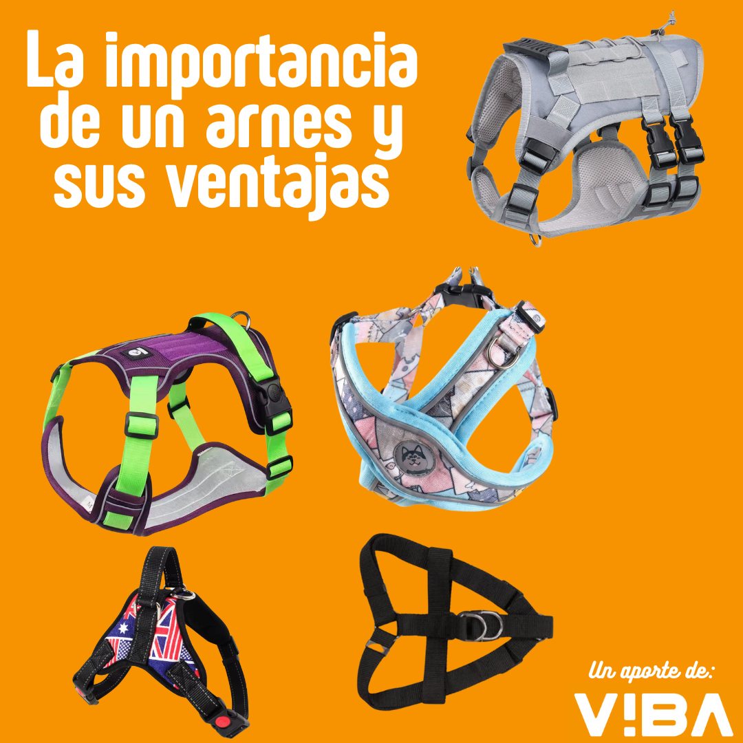 Arnés Antitirones Para Perros Grande/Mediano/Pequeño | Chaleco Acolchado De Oxford Con Puntos De Masaje Y Reflectante