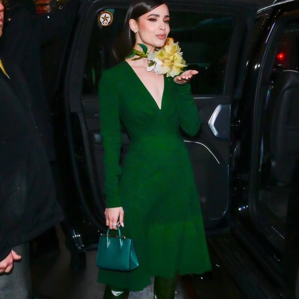 sofia carson green dress stars in Netflix's My Oxford Year romantic comedy N8R06-020