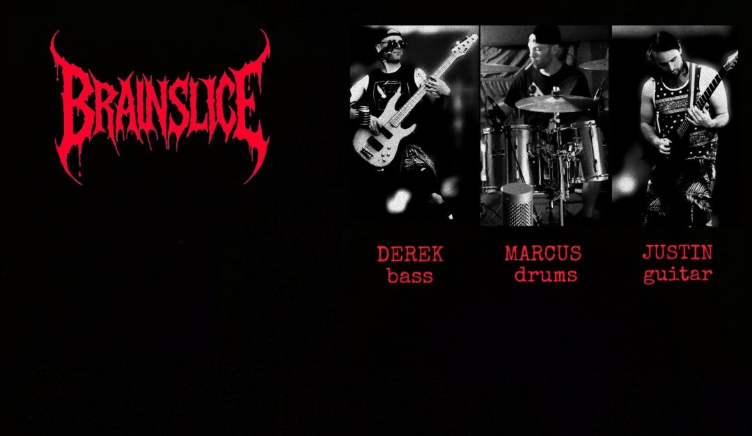 Brainslice