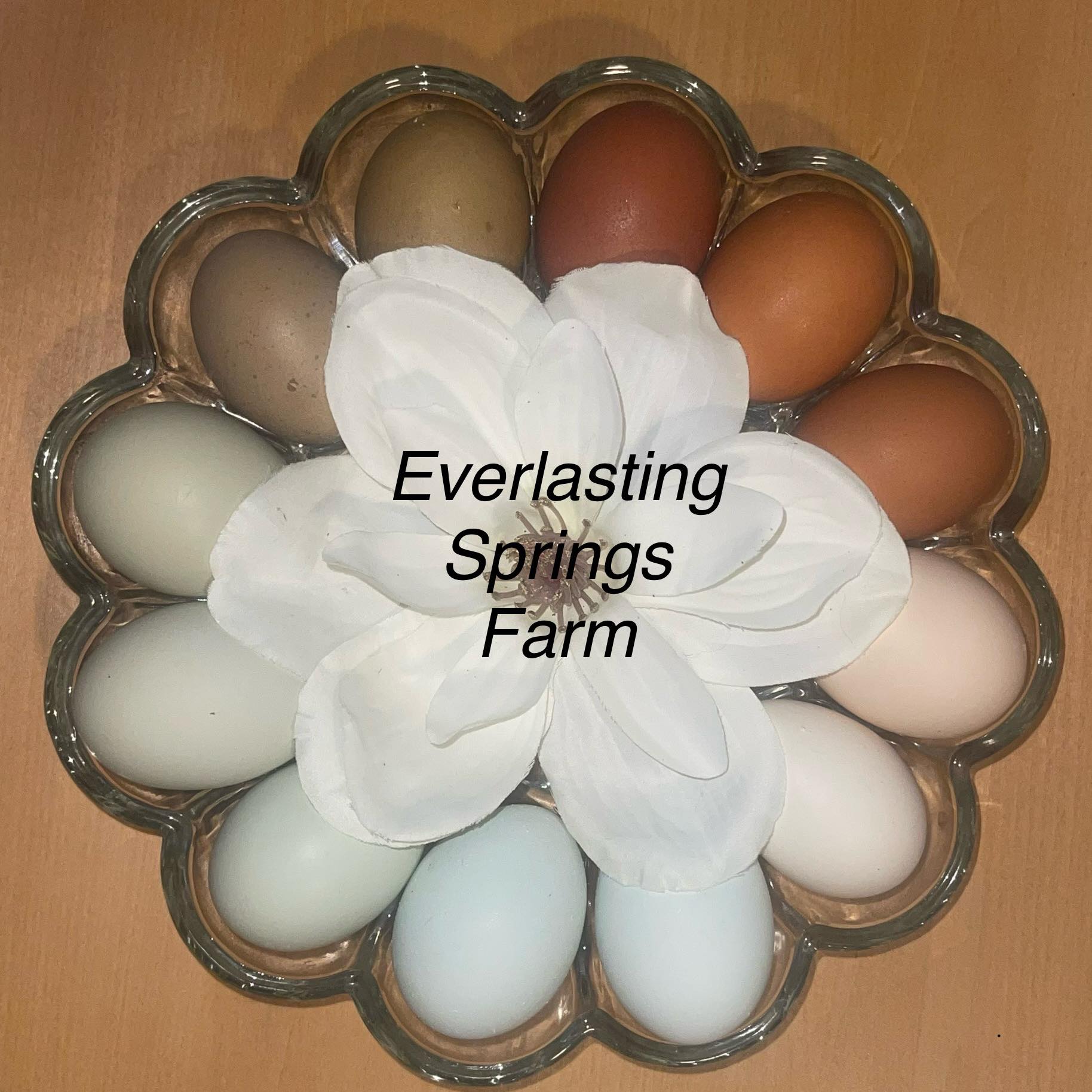 We’ve made some upgrades! 💕 | Everlasting Springs Farm | Facebook