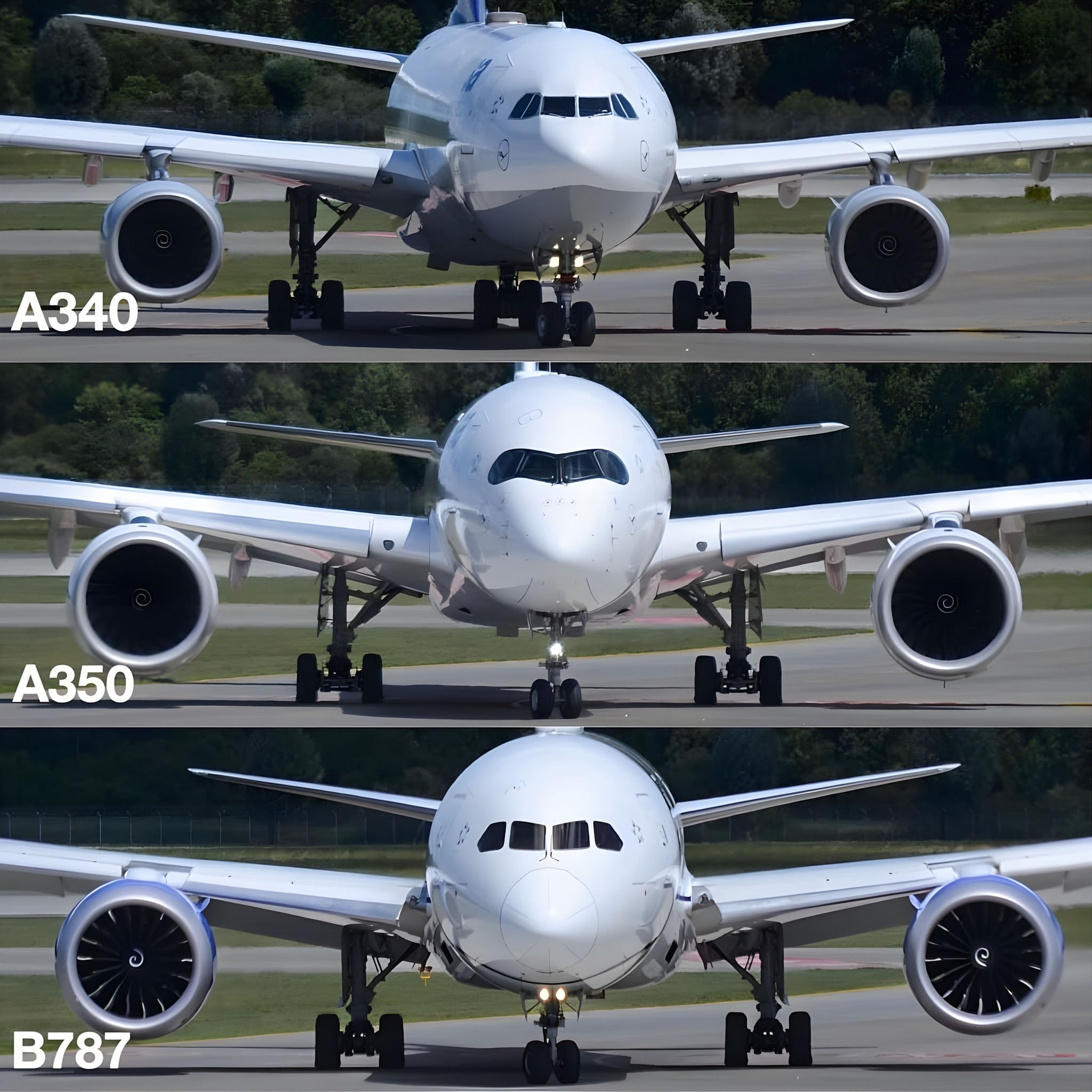 Nonstop - 🔍 ️ Head-On Heavyweights: A340 vs A350 vs B787 Lined up nose ...