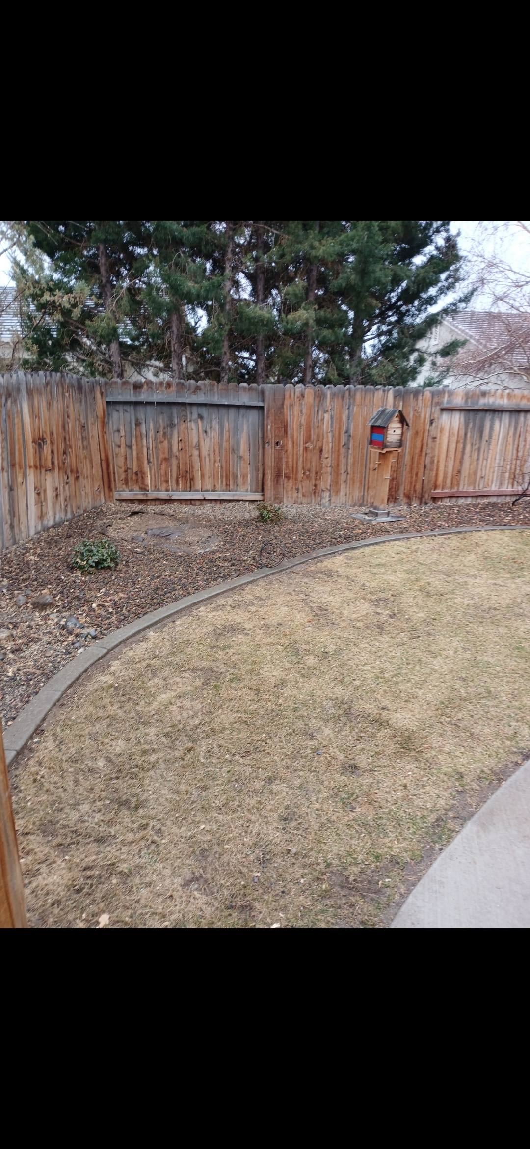 Dayton Valley Tree Service | Dayton NV