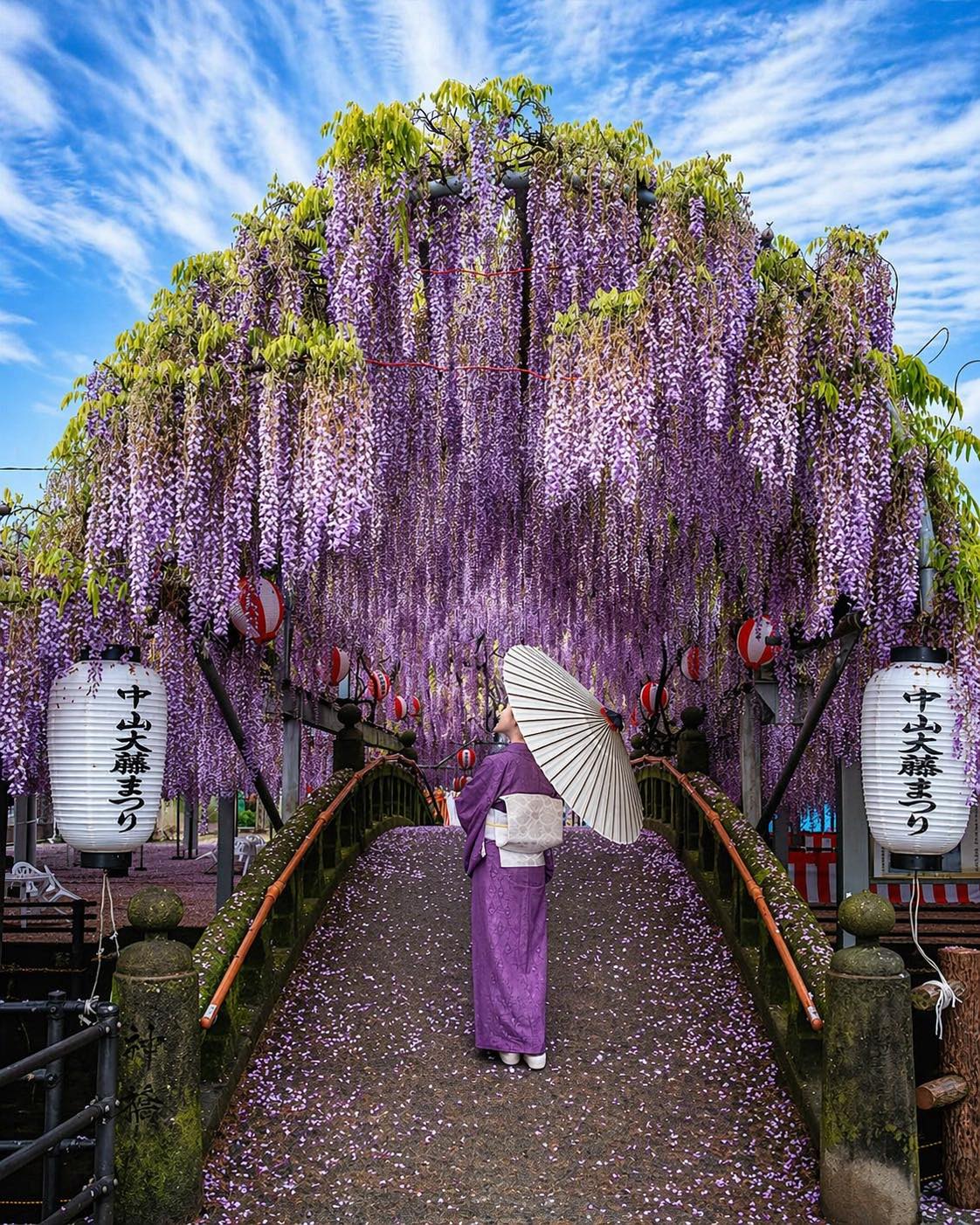 looks like the Nakayama Great Wisteria in Yanagawa, Fukuoka is at
