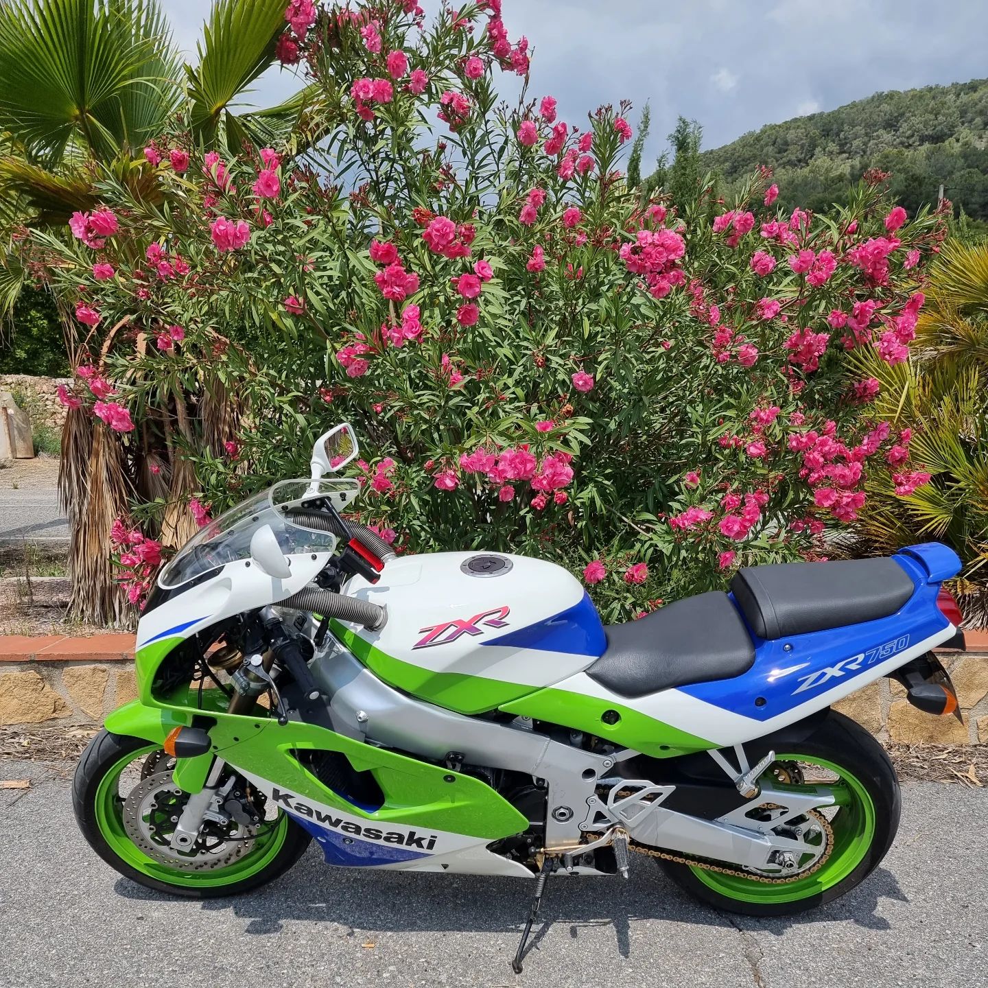 The Kawasaki Ninja ZXR750J is a classic 90s superbike, powered by