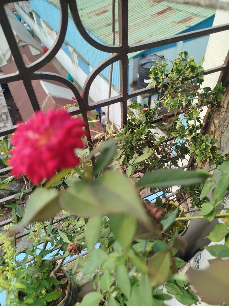 MM vlog | Dhaka