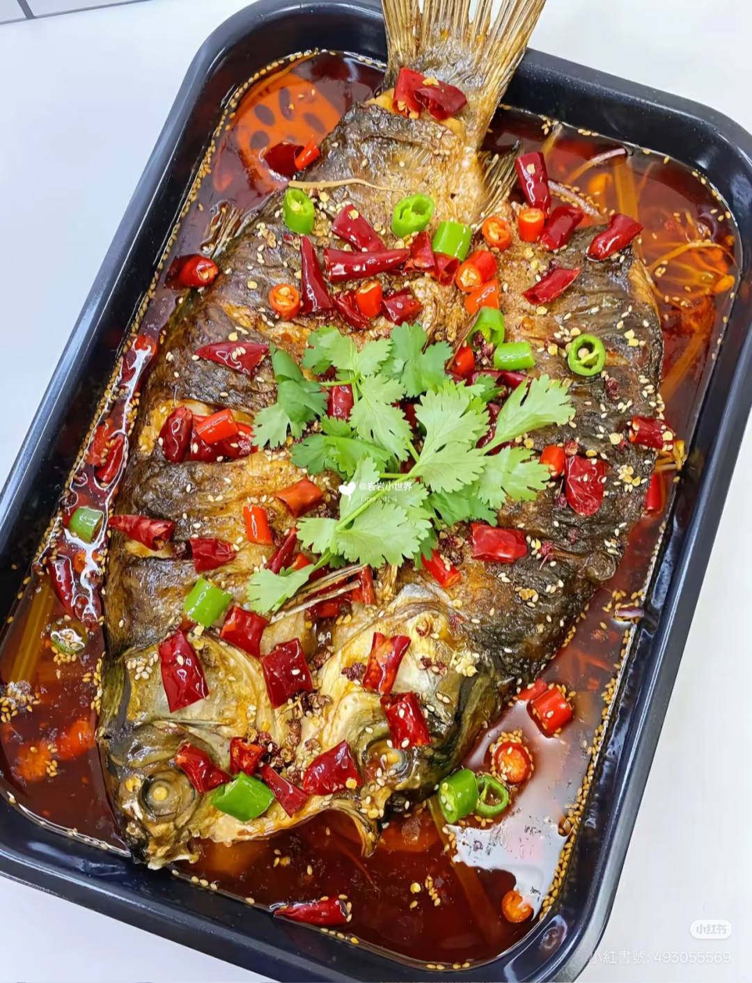 魚生有你
