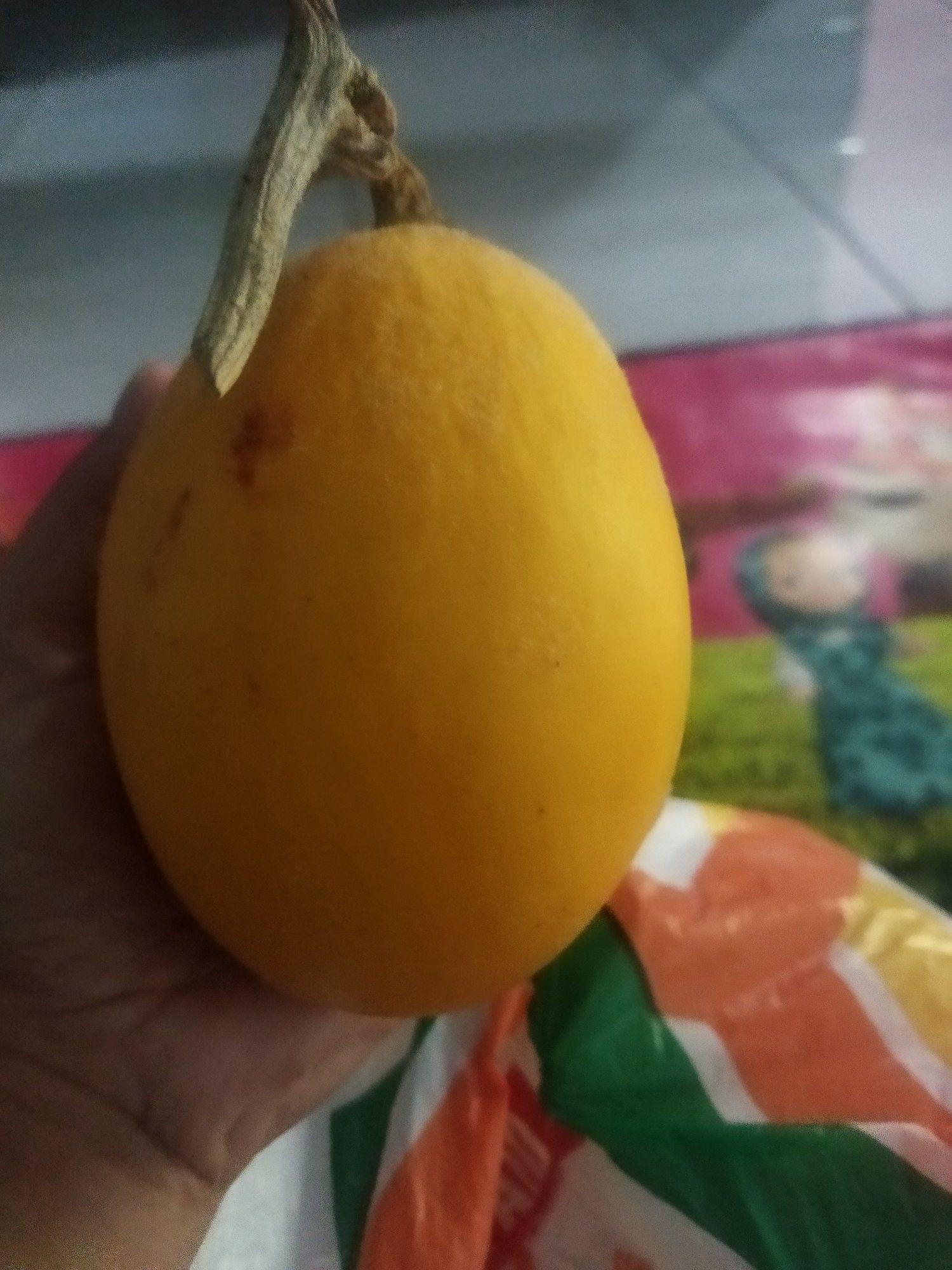 Inisial R
