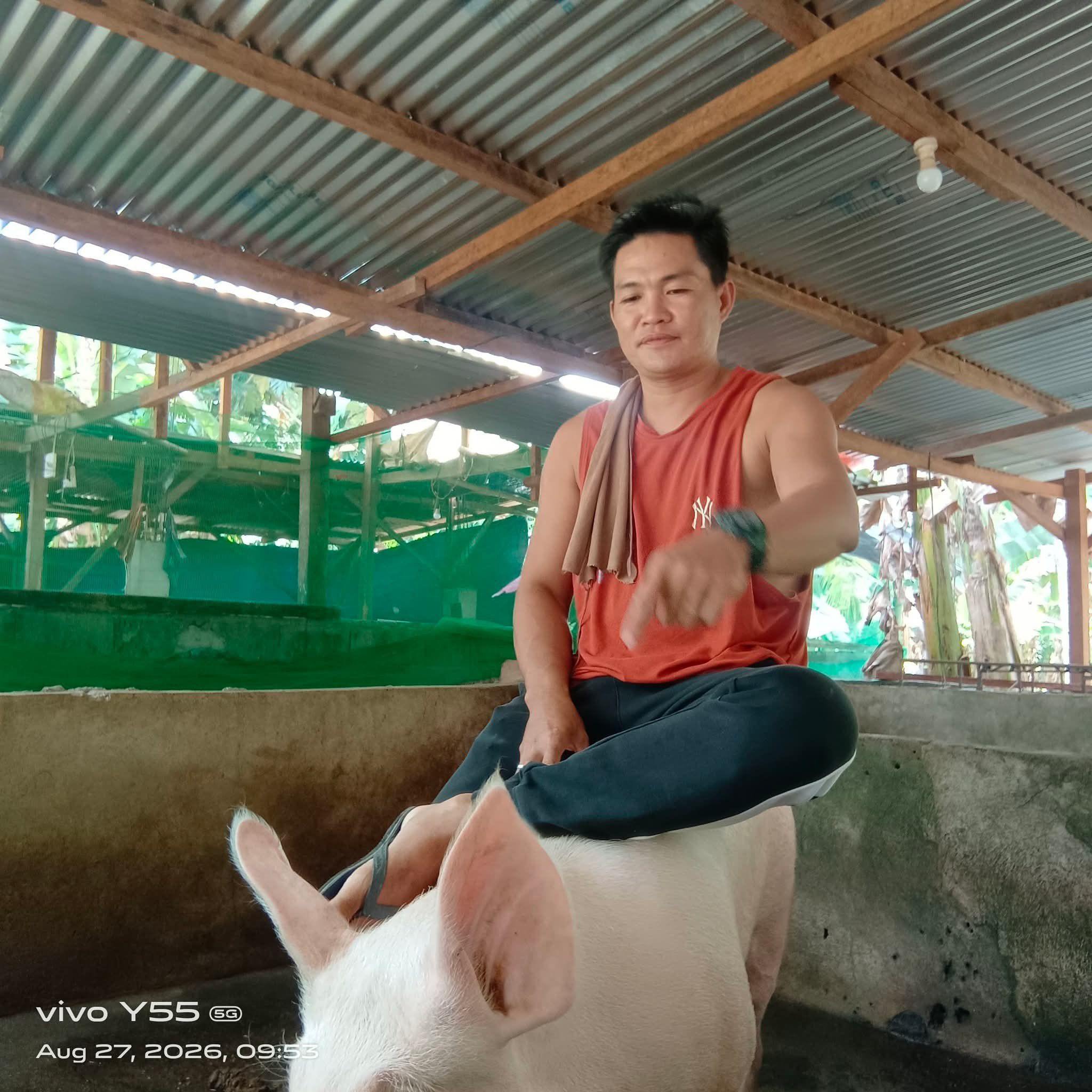 Artificial insemination | Damz Rosales