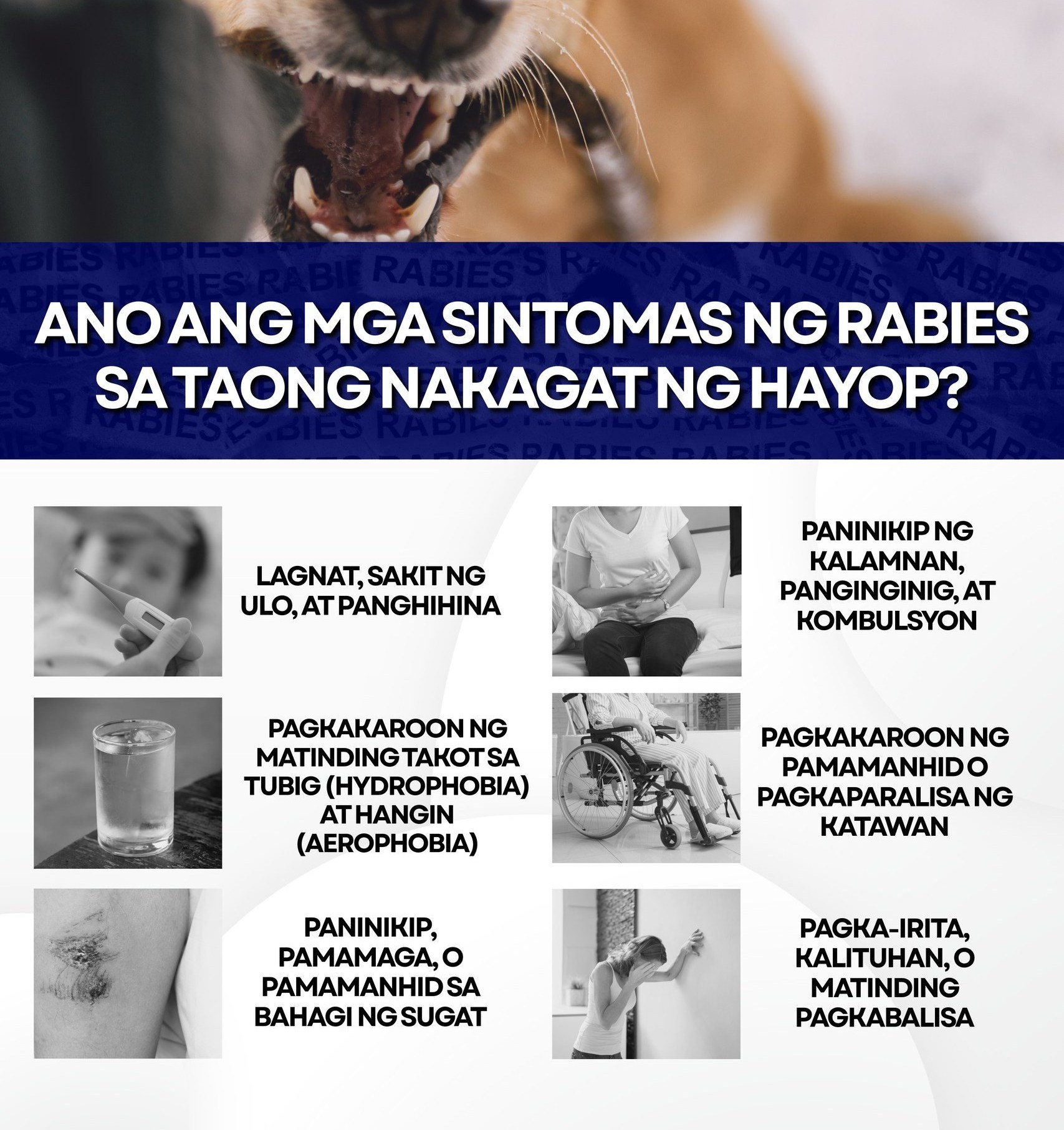 Hon. - 🐾⚠️ RABIES ALERT! ⚠️🐾 Narito ang mga babala ng rabies sa taong ...