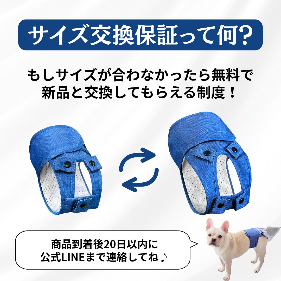 うんコロキャッチ　２枚 未使用 1枚　開封のみ 1枚　尿取りパッド３枚 🐶 ＼うんコロキャッチ専用「尿とりパッド」がついに登場！／ 「尿とり