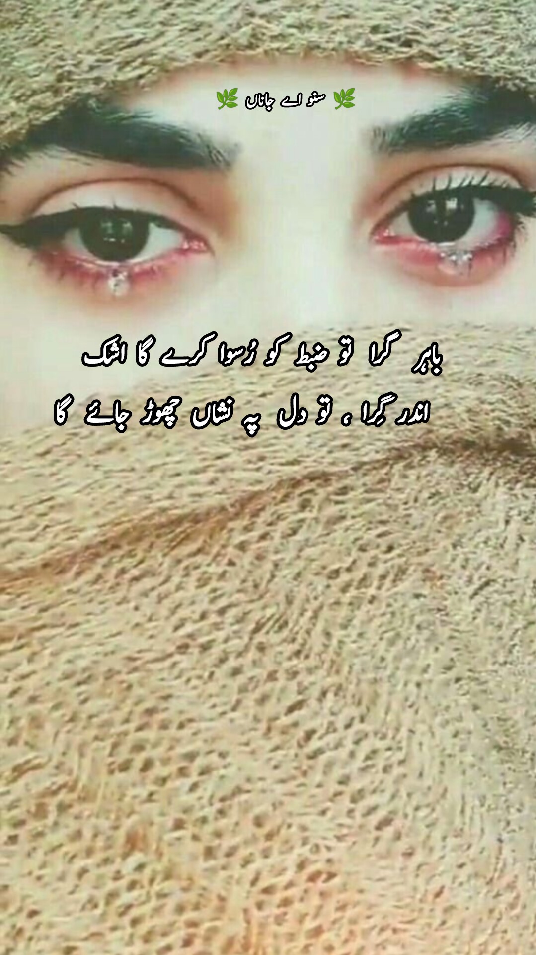 سنو - 🥹 🥀🌿 🦋 🌿🥀 . . . . . . . . . . #سنو_اے_جاناں ...