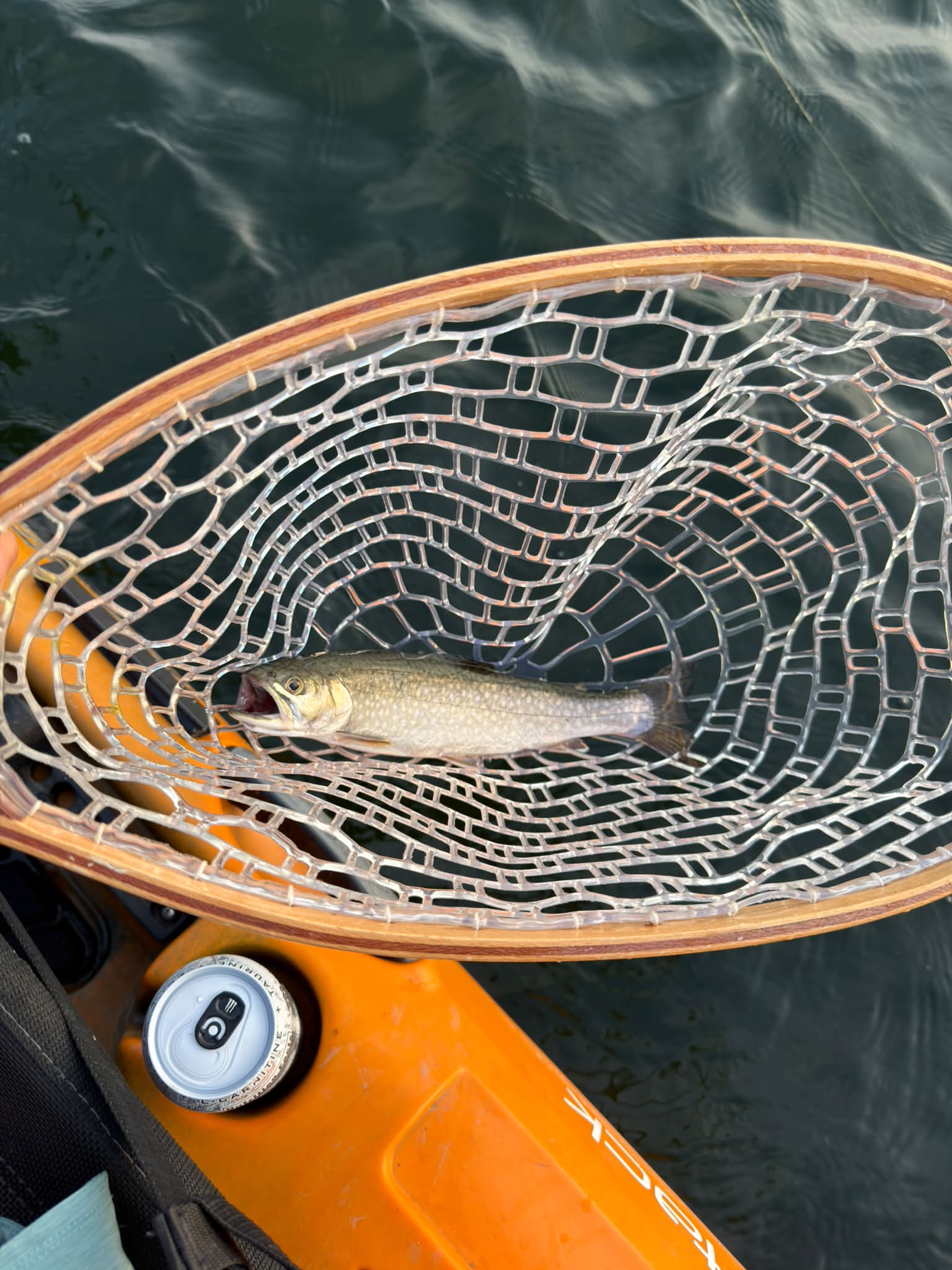 best kayak fishing net large salmon PLUSINNO with Telescoping Handle, Carbon Fiber Ultralight Long Fish Net, Collapsible Floating Landing Net 6.56Ft, Fishing Gear Accessories for Bass Trout Salmon: Buy Online at Price in UAE The high level of control and accuracy offered by the forearm grip means you dont need a giant hoop to net your next big fish and makes the Leverage Landing Net an essential piece of kayak fishing gear Danielson Salmon Net, 22" x