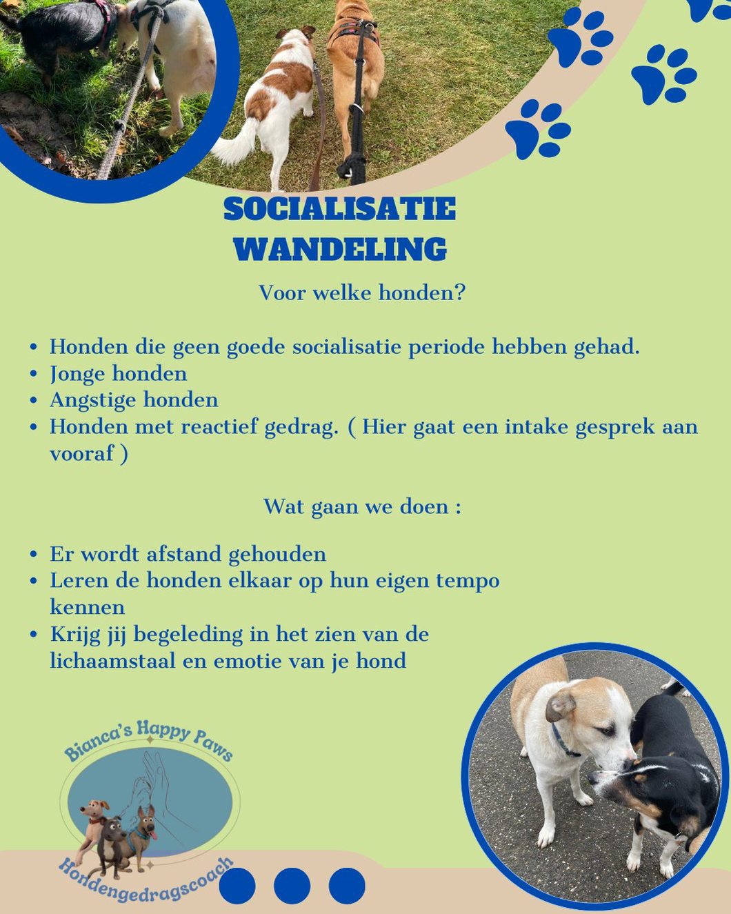 socialisatiewandelingen-voor-honden-bianca-s-happy-paws-facebook