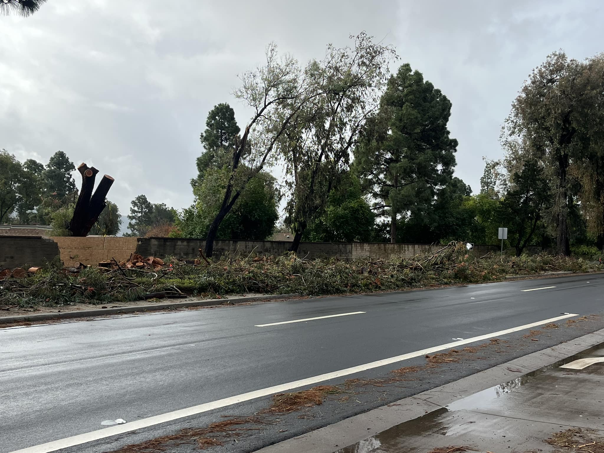 Historical Camarillo and Ventura County | Center median on Santa Rosa ...