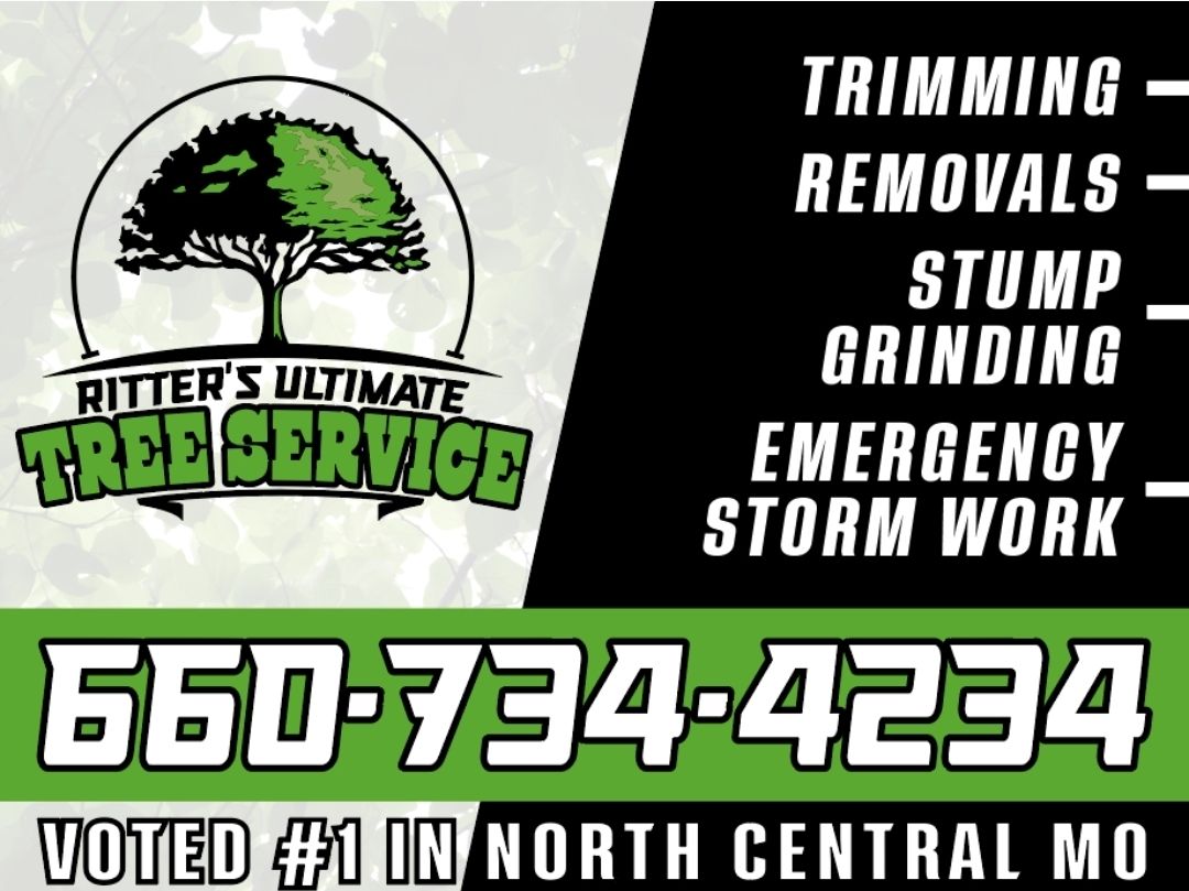 Ritter's Ultimate Tree Service | Brookfield MO