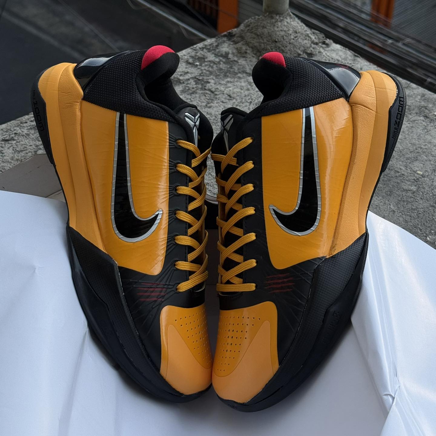 Kobe 5 Protro Bruce Lee