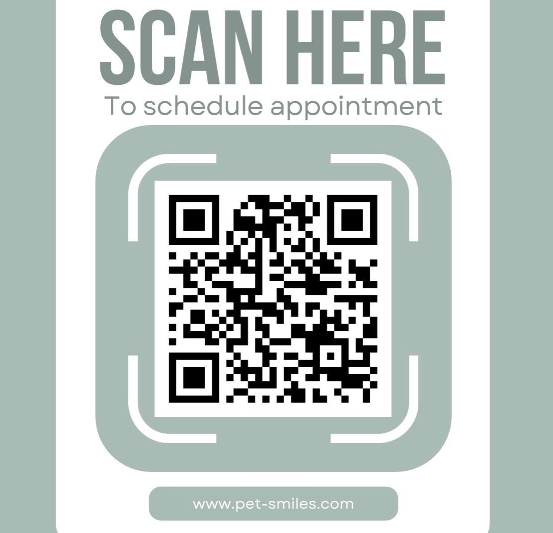 Pet - Scan here to schedule your appointment online today! | Facebook