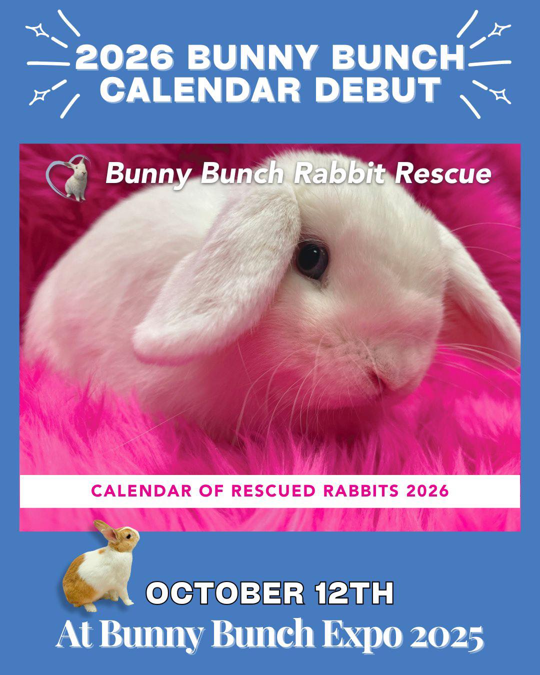 📸🐰 At the Bunny Expo we will... - Bunny Bunch Rabbit Rescue | Facebook