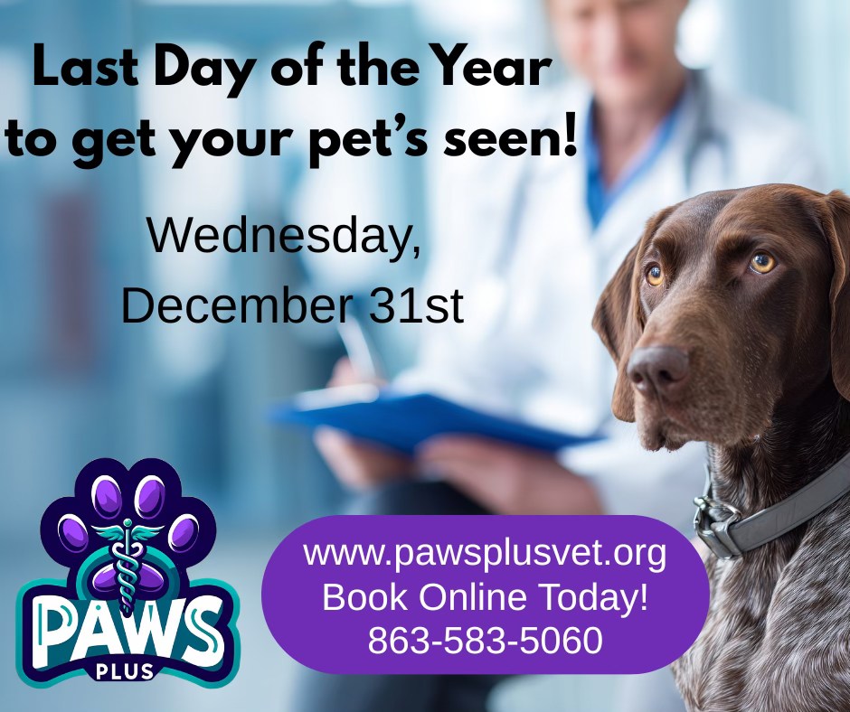 Paws Plus Veterinary