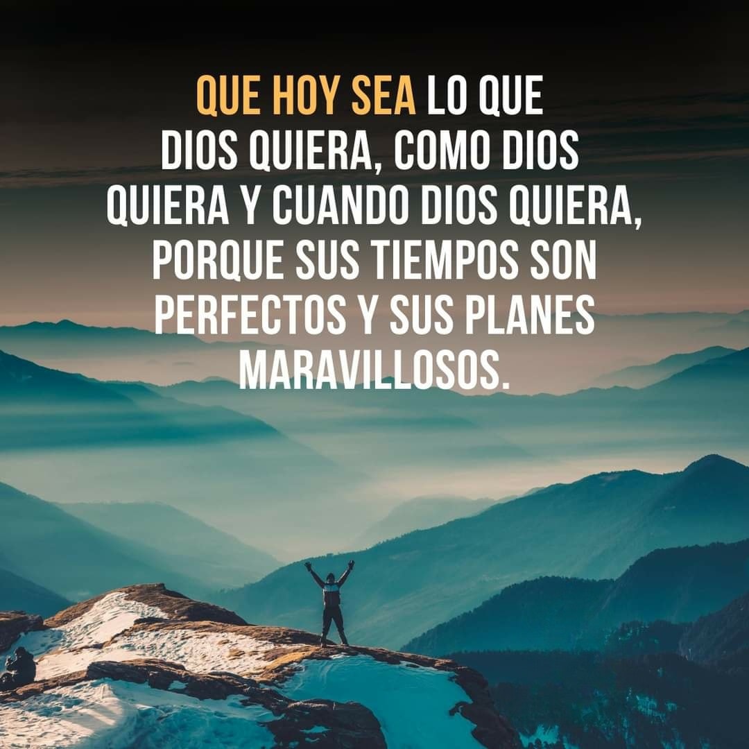 Alcoholicos - Hoy me levanto con la firme convicción de que todo sucede ...