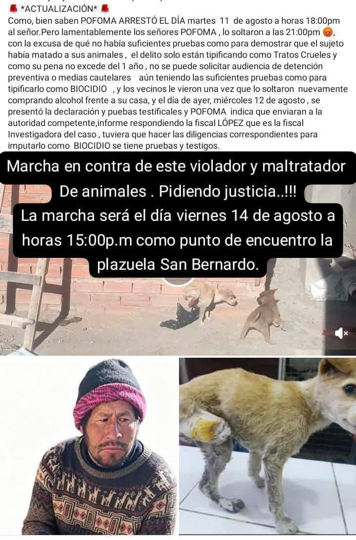 A P A P Asociación Protectora de Animales Potosi 