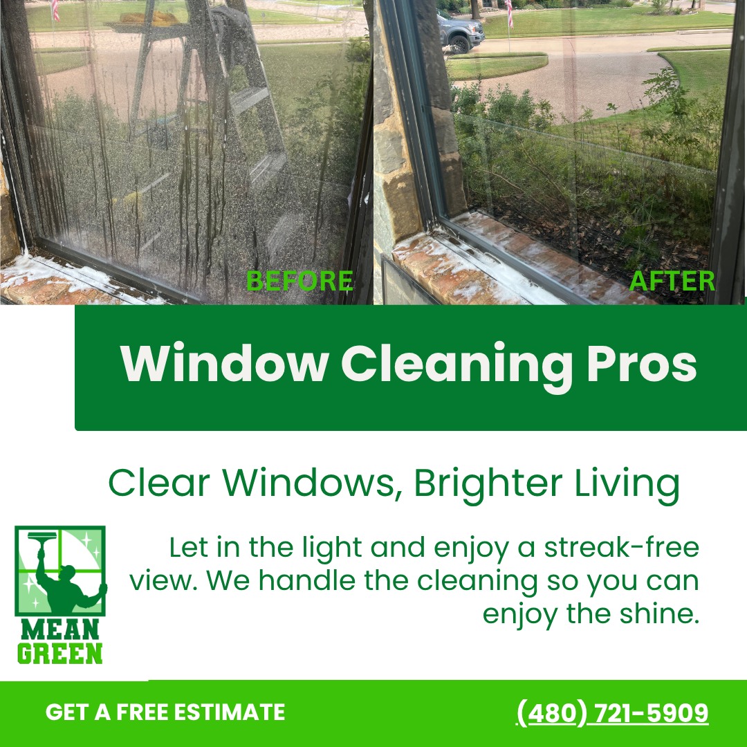 Mean Green Window Clean