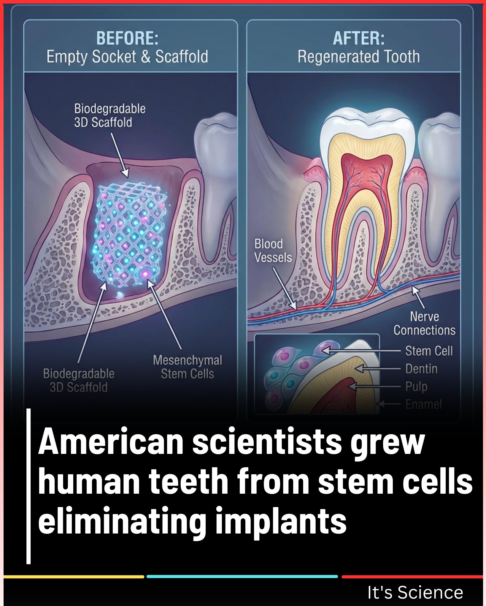 It's Science - American scientists grew human teeth from... | Facebook