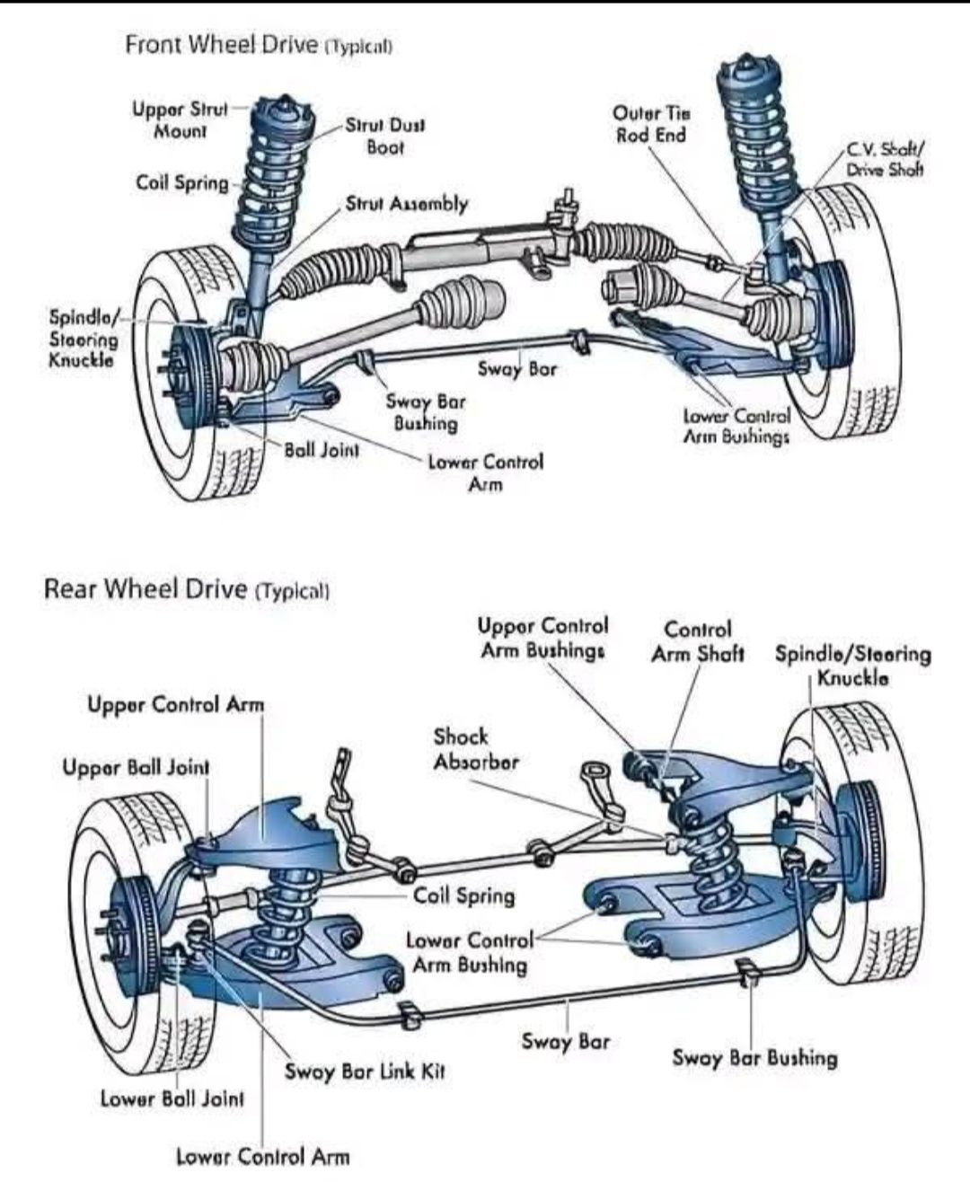 Sundara - Understanding Your Car's Suspension: A Visual Guide If you're ...