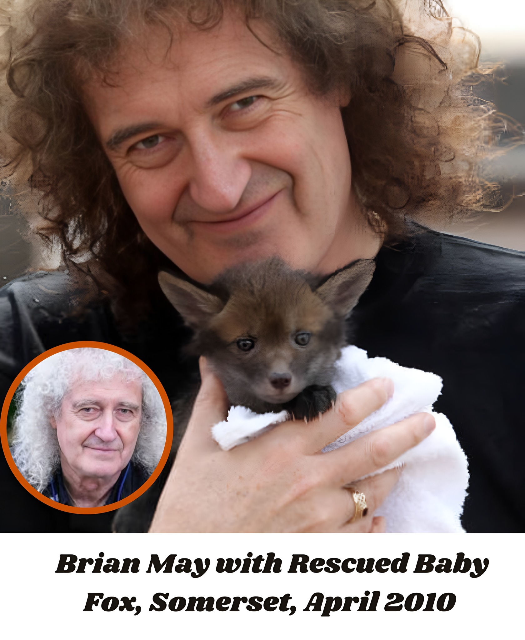 Brit Cinema - Queen guitarist Brian May is pictured... | Facebook