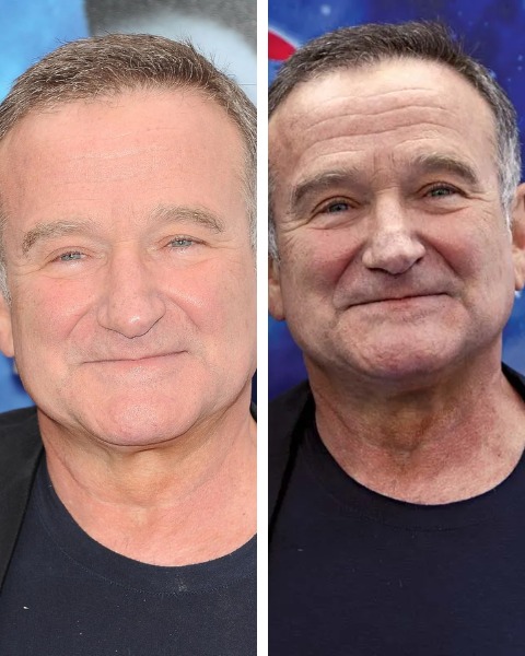 Voice - Robin Williams was a once-in-a-generation talent known for his ...