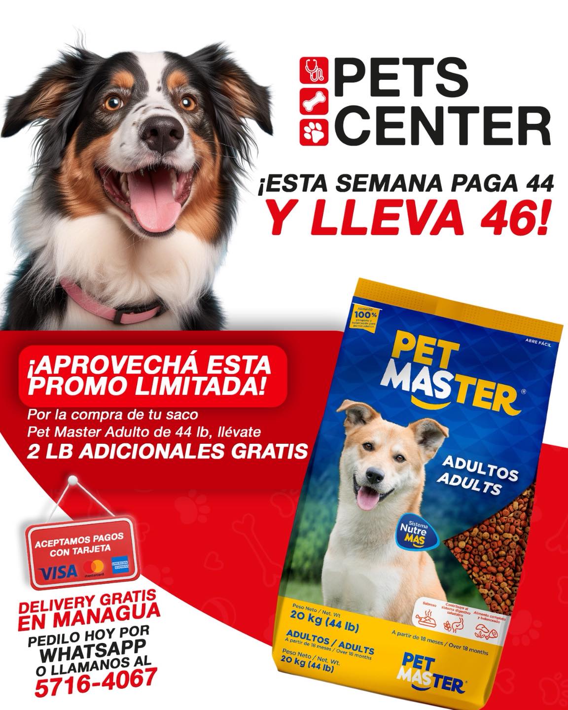 Pets Center | Managua
