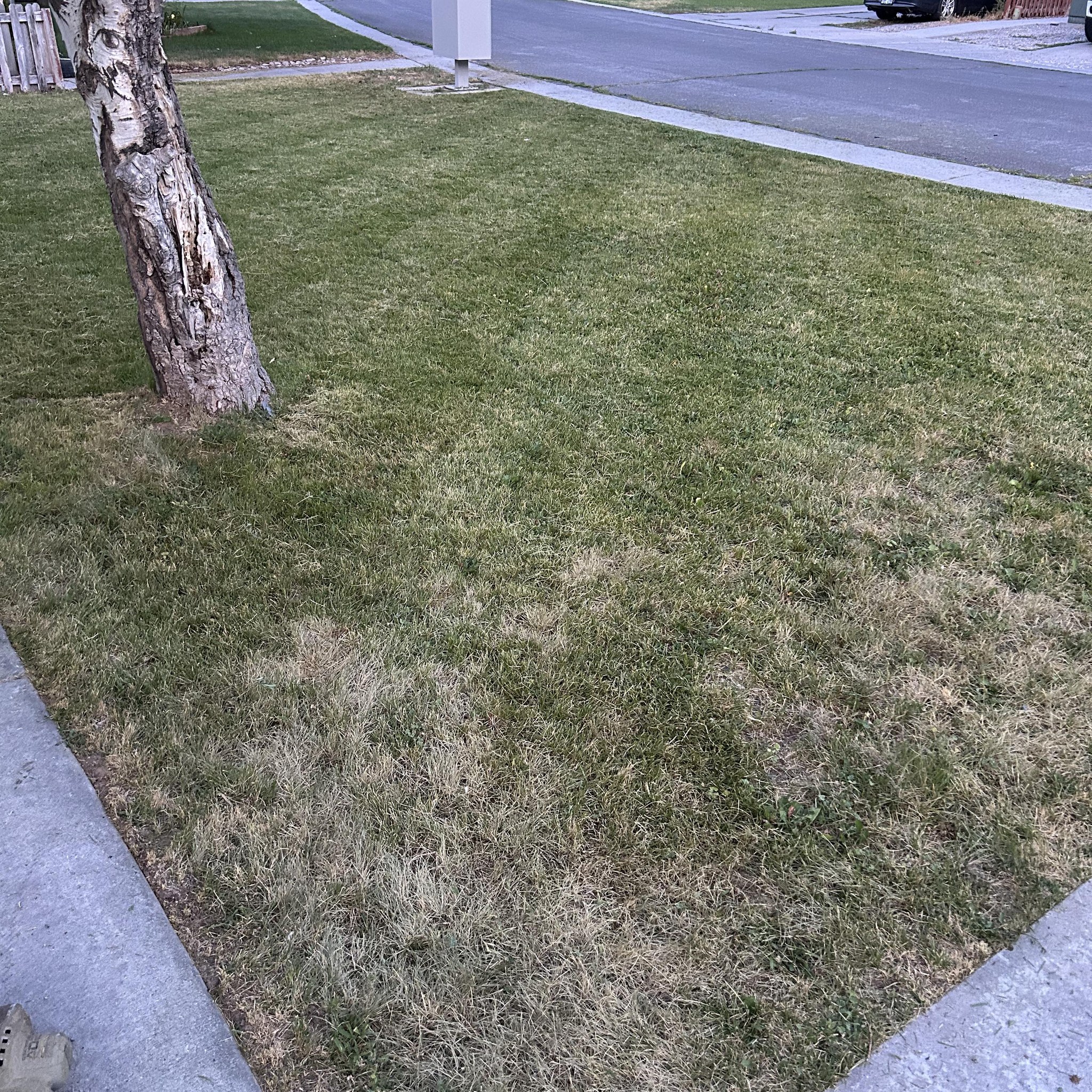 Hyrum UT 411 | hey. its damian i am trying to save up for back to ...