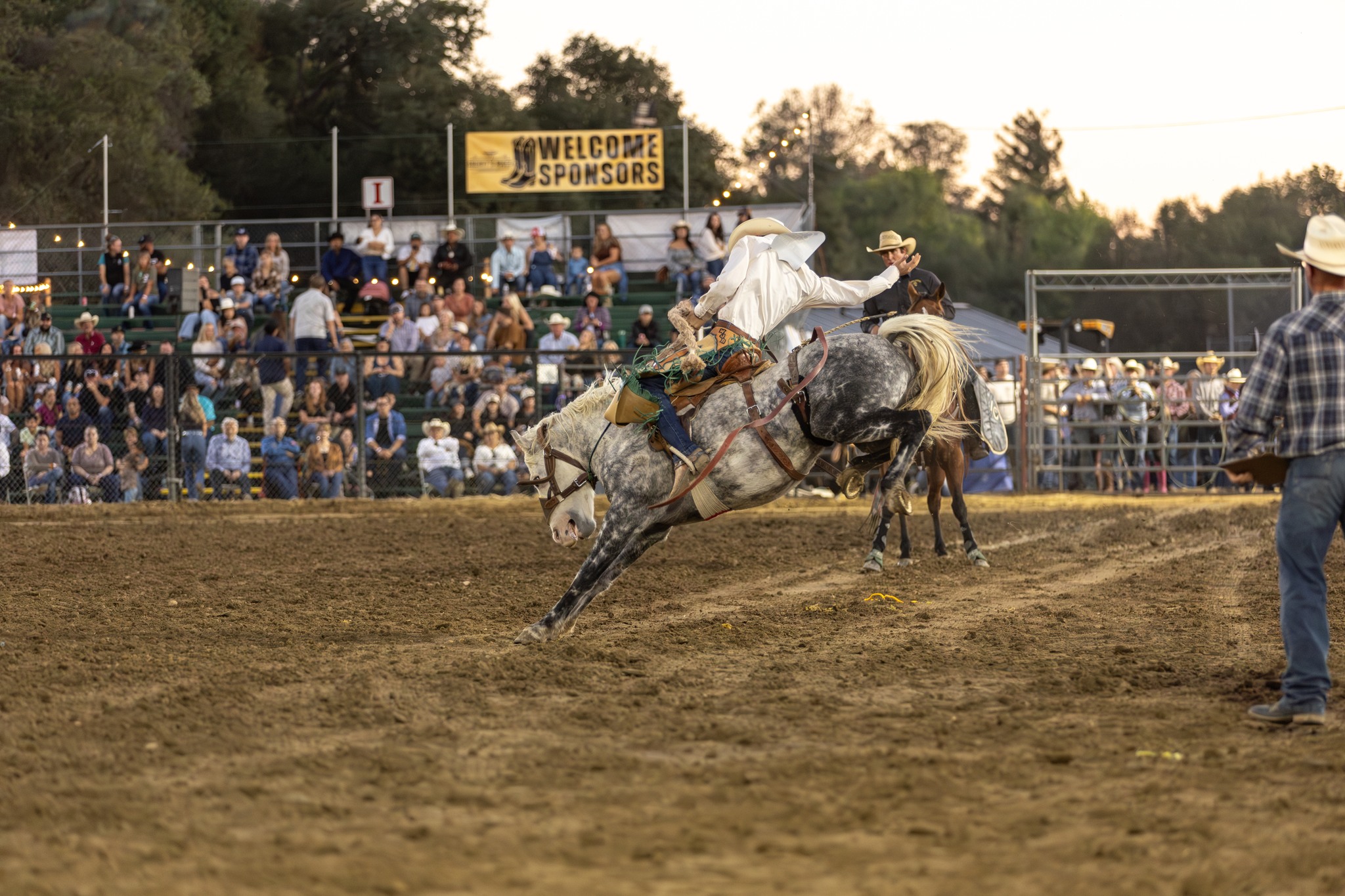 Sacramento County Sheriff's Rodeo | Folsom CA