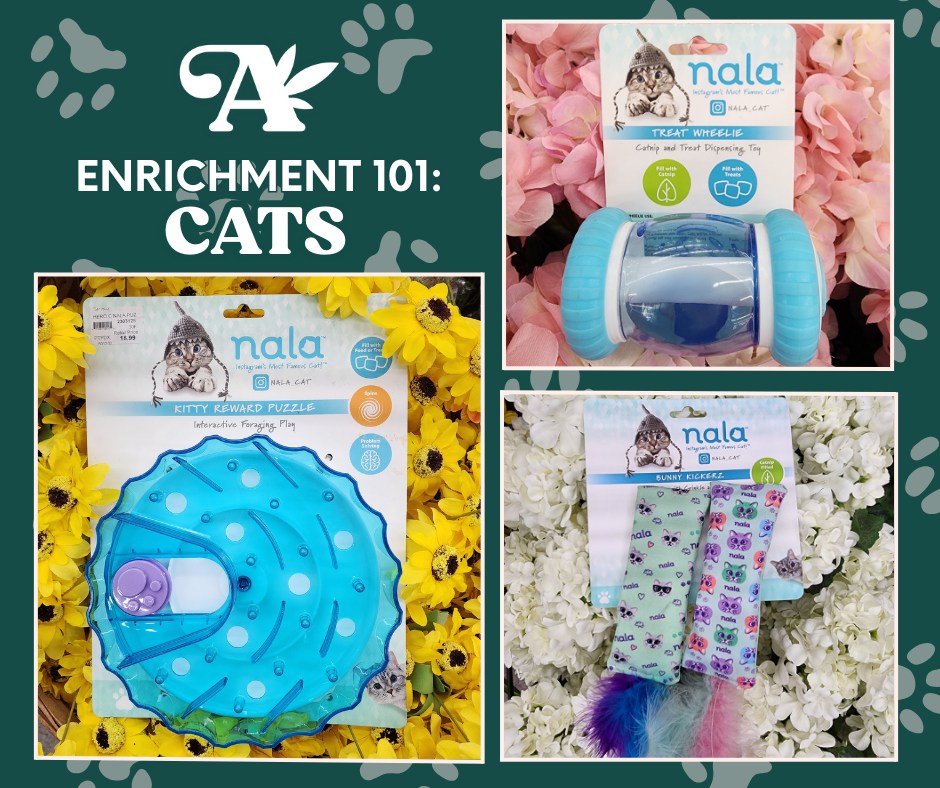 View of Alsip - Did you know enrichment activities for your cat can reduce ...
