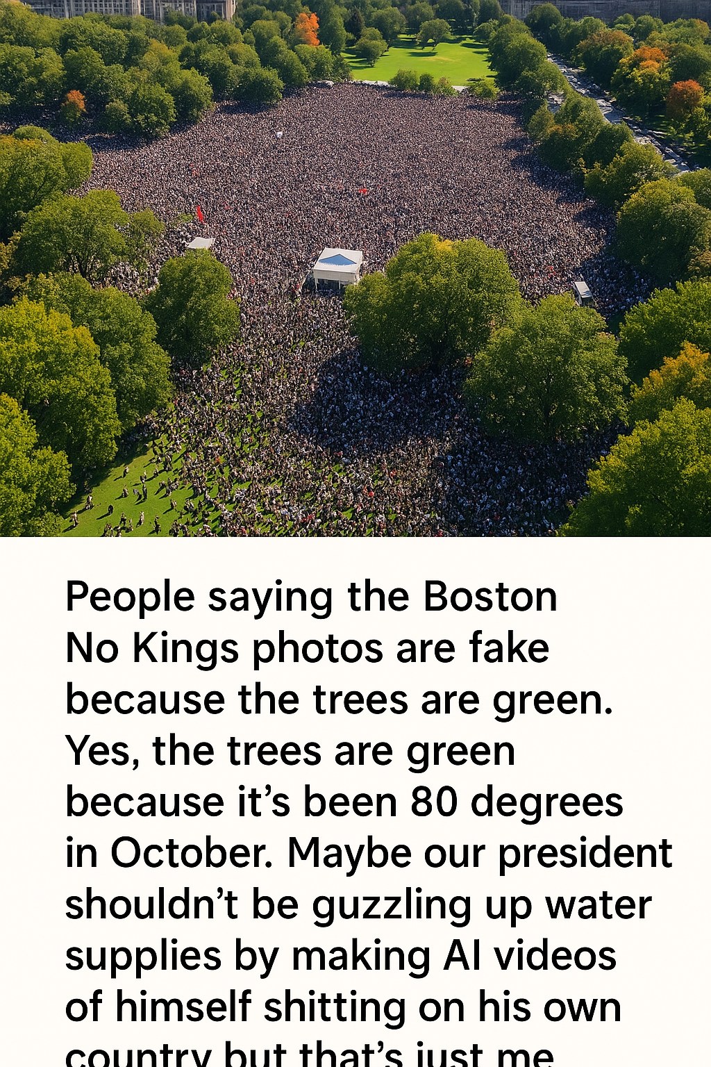 Viralnado - Many doubt the authenticity of Boston No Kings photos ...