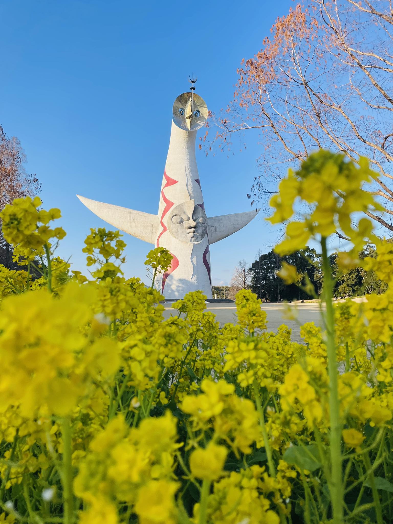 🌞 Meet Osaka's Most Iconic Landmark – The Tower of the Sun