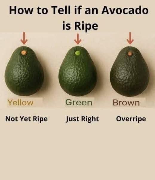 Sprout - How to Tell When an Avocado Is Perfectly Ripe 🥑 Avocados can ...