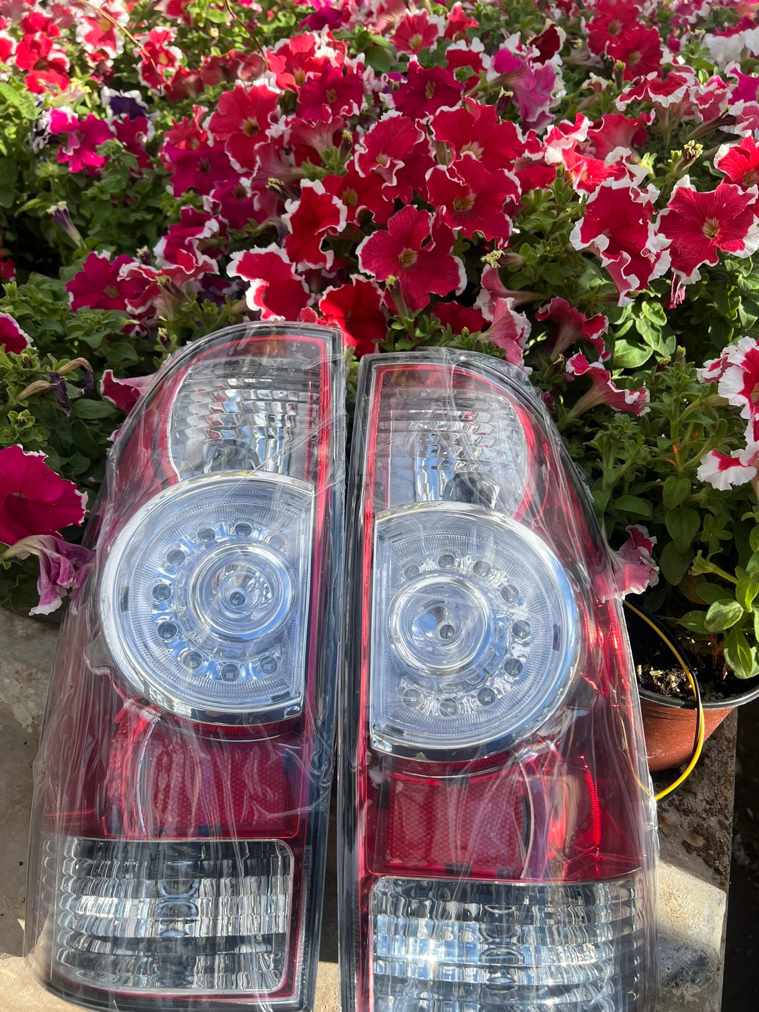 795724_7 795724_7