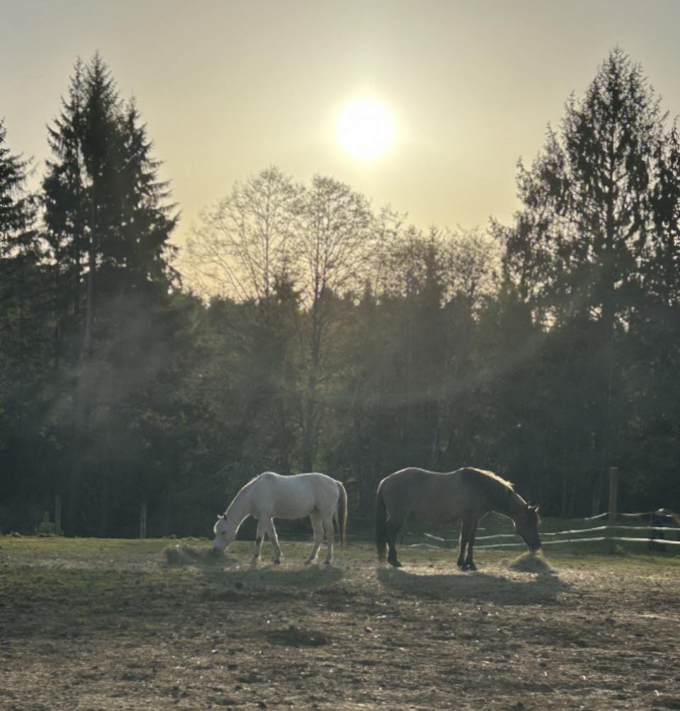 KO Farm & Ranch, LLC