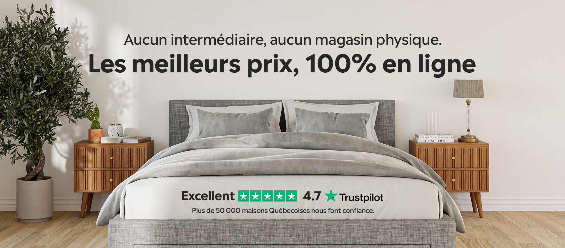 VitroPlus/Ziebart (1160 rue... - VitroPlus/Ziebart