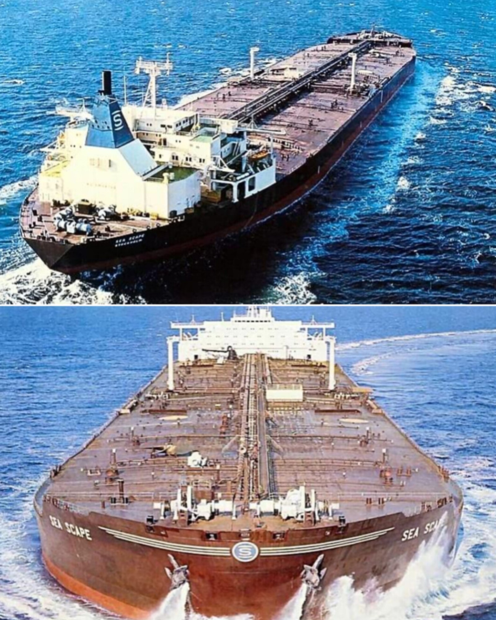 ジャスミン MS Scamper ship history and specifications