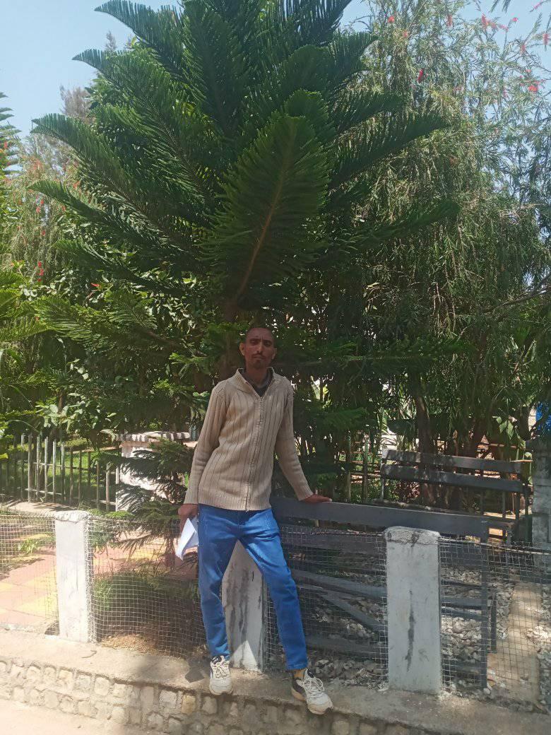 Gamachu Badhas