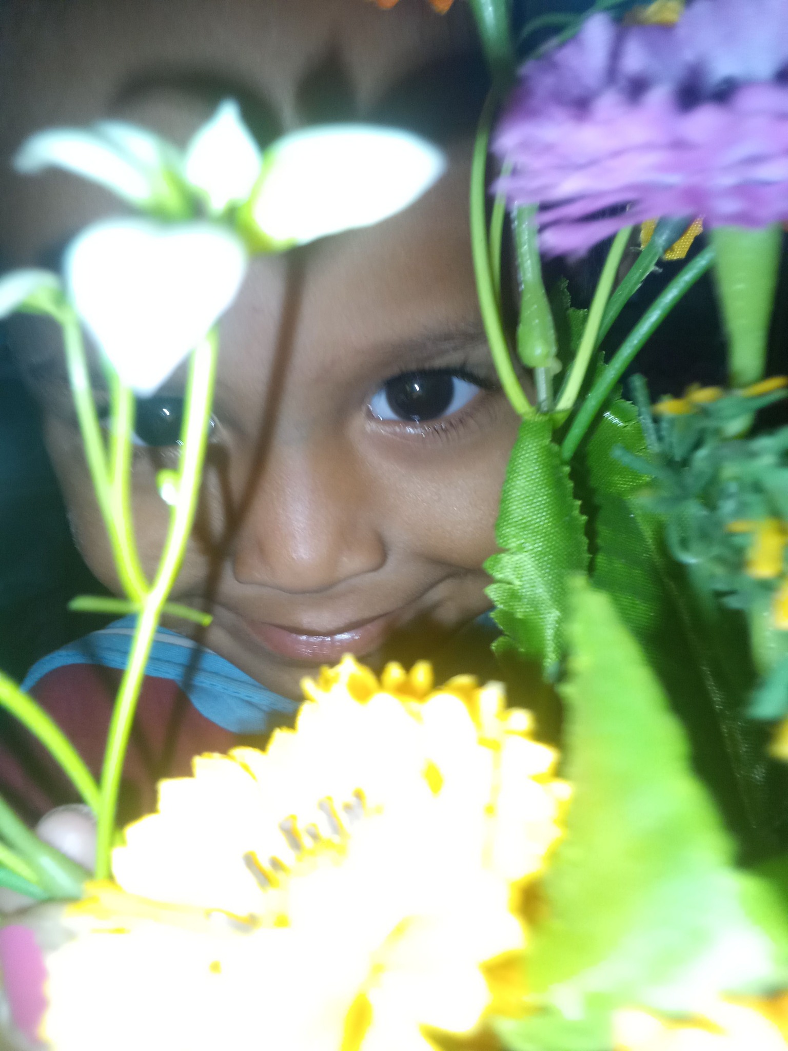 Halder Durjoy